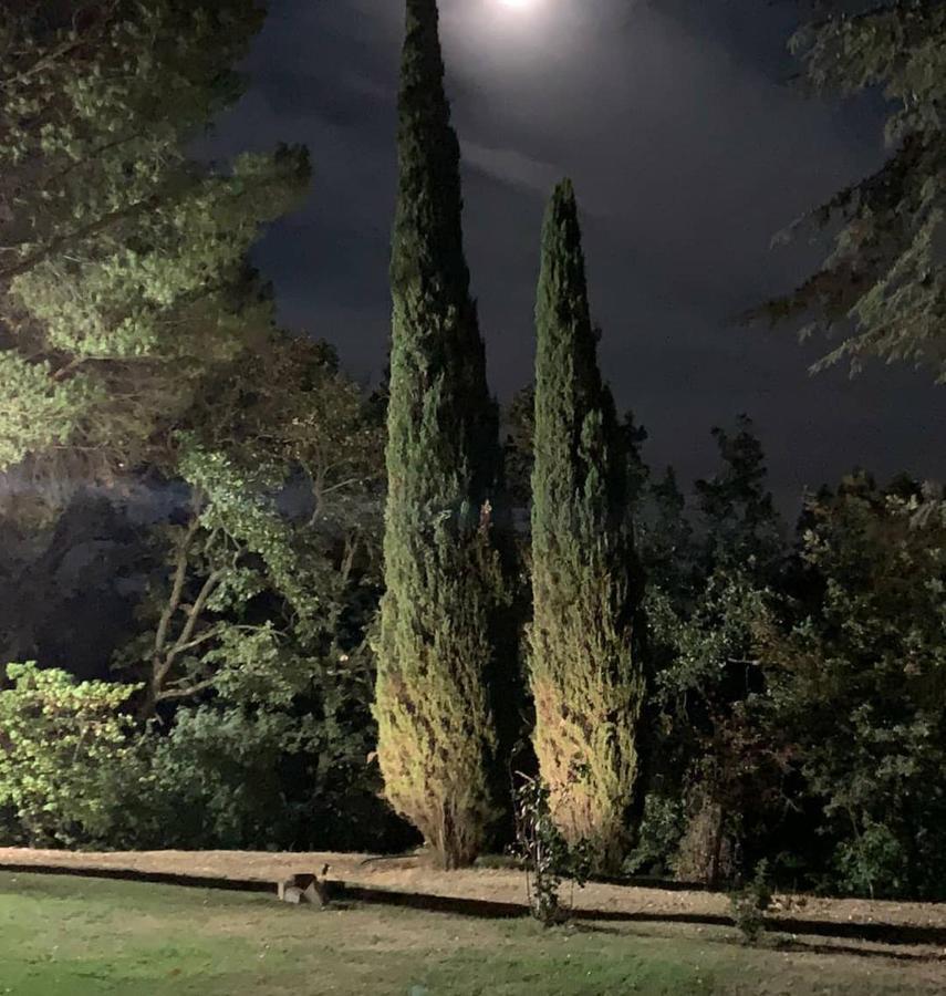 Villa Poggio Fagianino Sant'Albino Exteriér fotografie