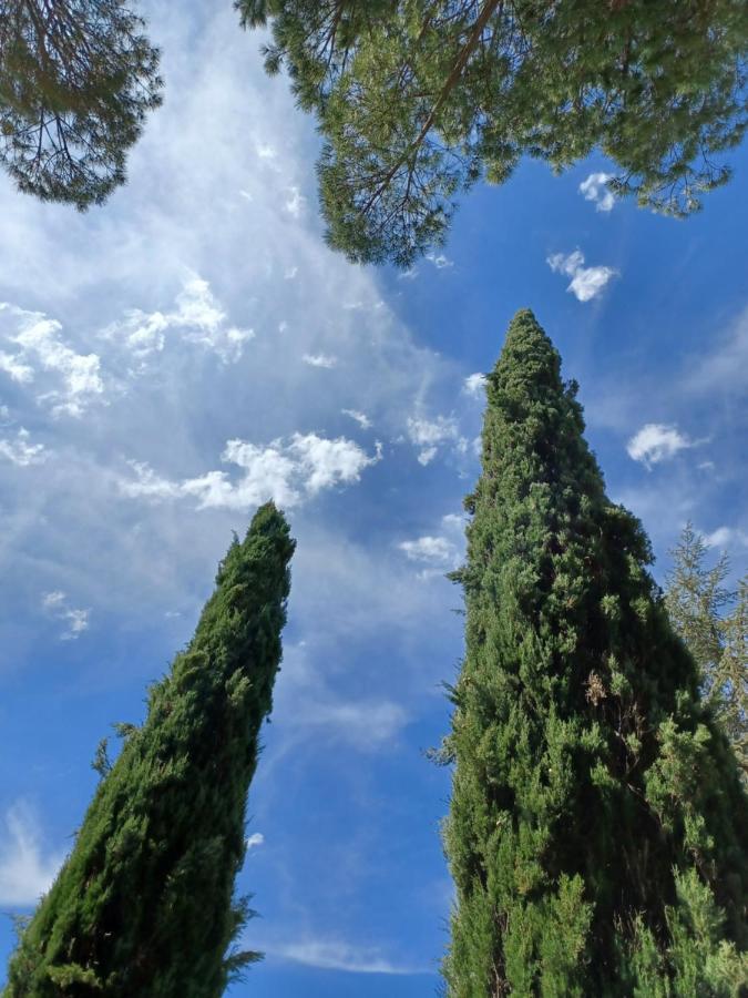 Villa Poggio Fagianino Sant'Albino Exteriér fotografie
