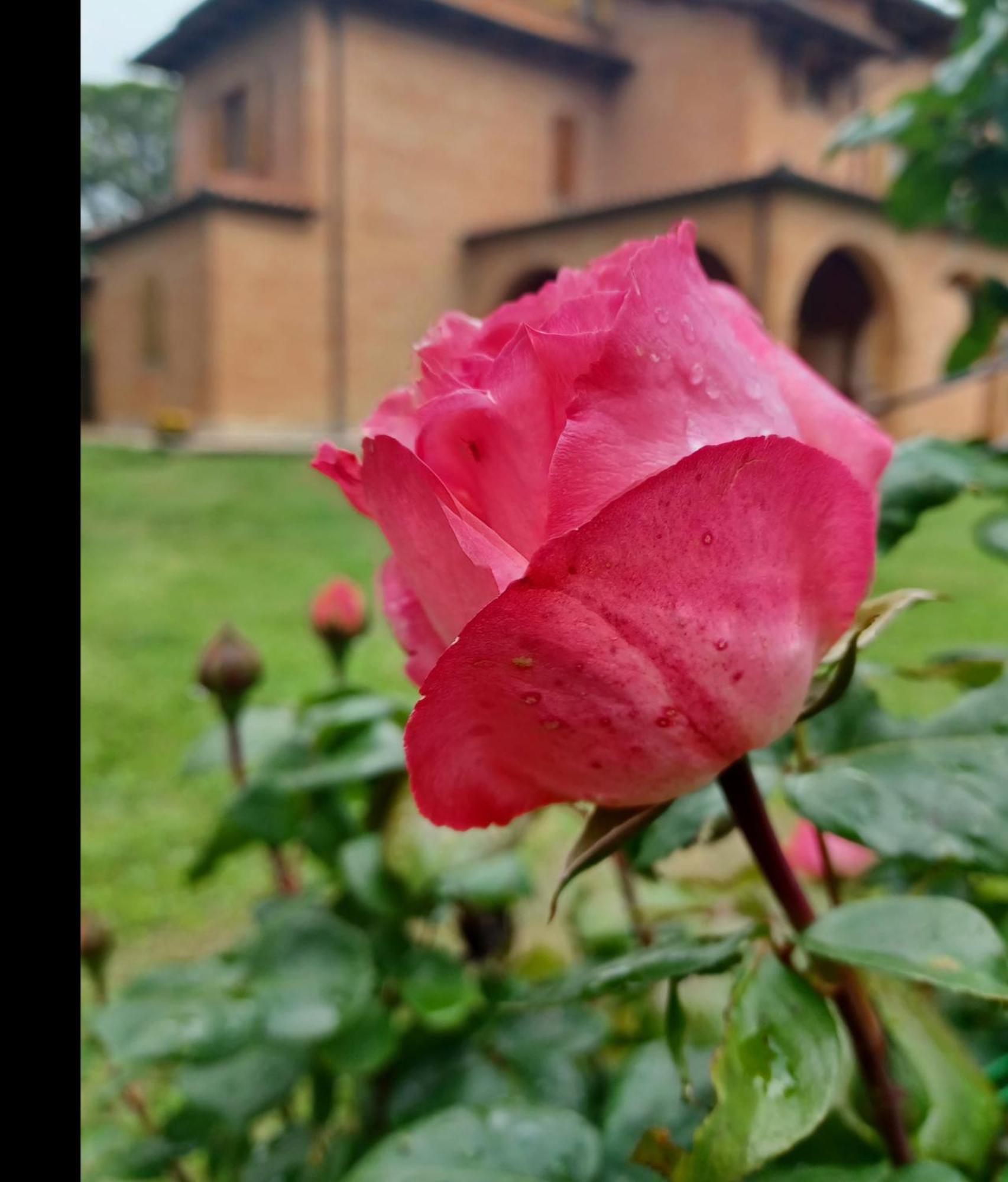 Villa Poggio Fagianino Sant'Albino Pokoj fotografie